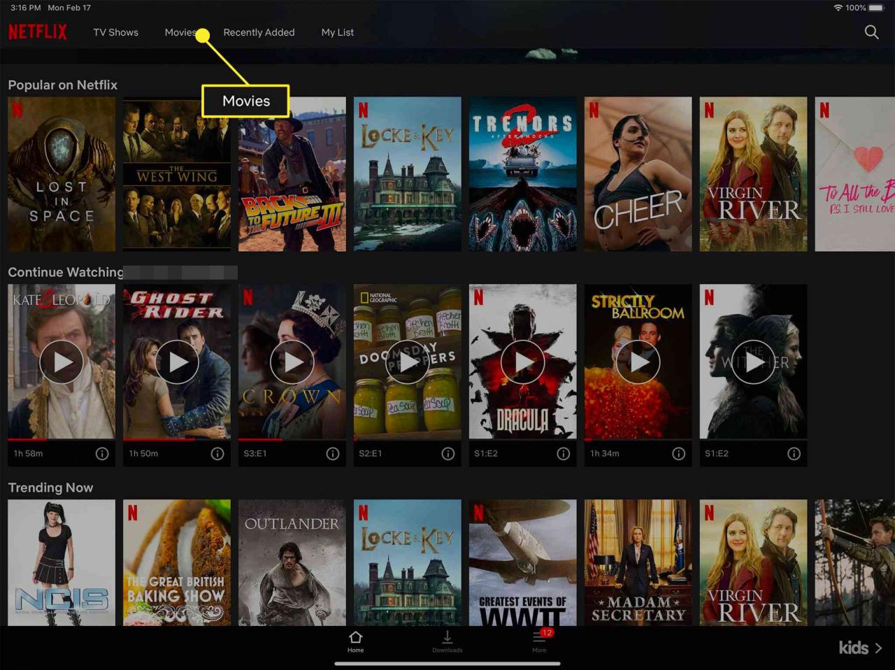 how to download movies from netflix on laptop